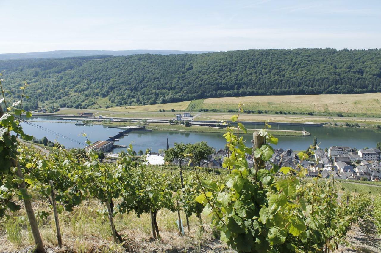 Ferienhaus Moselblick Mit Kostenfreien Oepnv-Ticket Ürzig Extérieur photo
