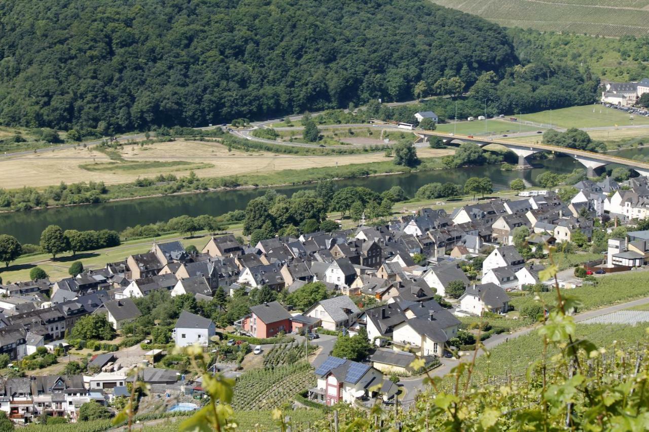 Ferienhaus Moselblick Mit Kostenfreien Oepnv-Ticket Ürzig Extérieur photo