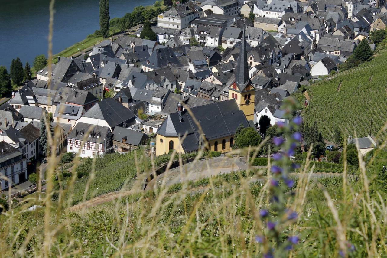 Ferienhaus Moselblick Mit Kostenfreien Oepnv-Ticket Ürzig Extérieur photo