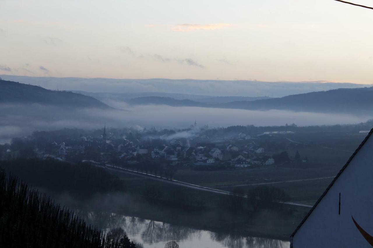 Ferienhaus Moselblick Mit Kostenfreien Oepnv-Ticket Ürzig Extérieur photo